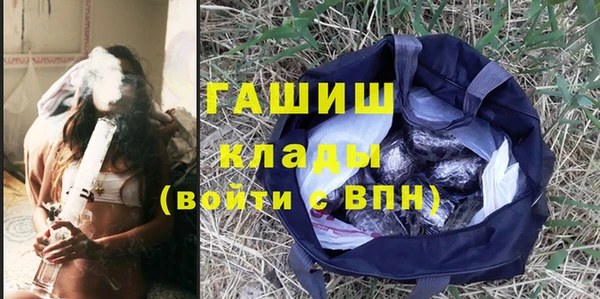 сатива Кулебаки