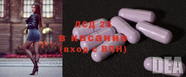 сатива Кулебаки