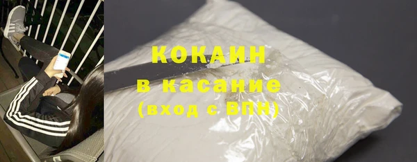 сатива Кулебаки