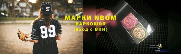 сатива Кулебаки