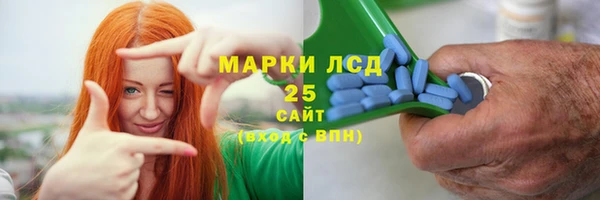 сатива Кулебаки