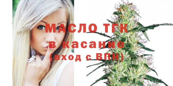сатива Кулебаки