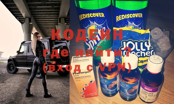 сатива Кулебаки