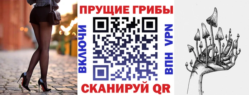Псилоцибиновые грибы Cubensis  это Telegram  Конаково  KRAKEN онион 